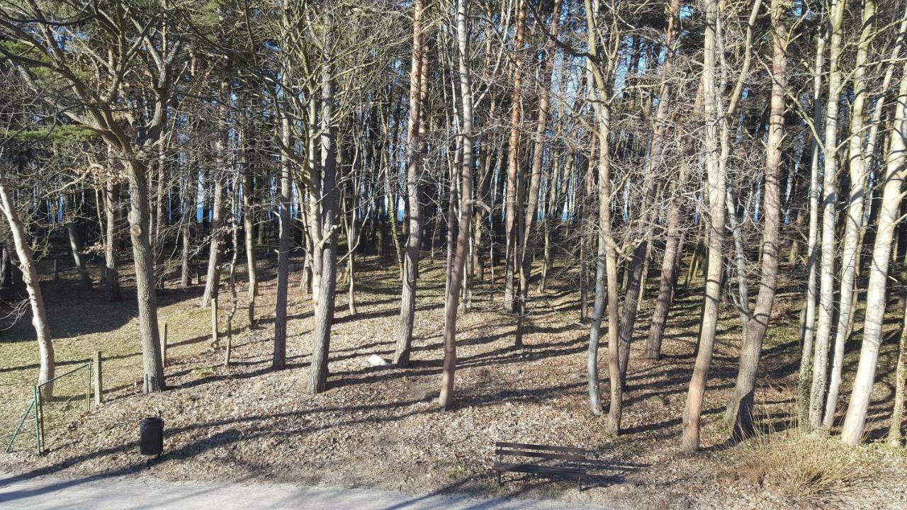 Apartament Lazur Jastrzębia Góra Zewnętrze zdjęcie